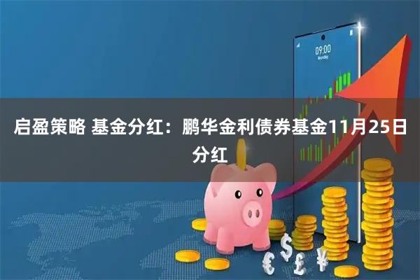 启盈策略 基金分红：鹏华金利债券基金11月25日分红